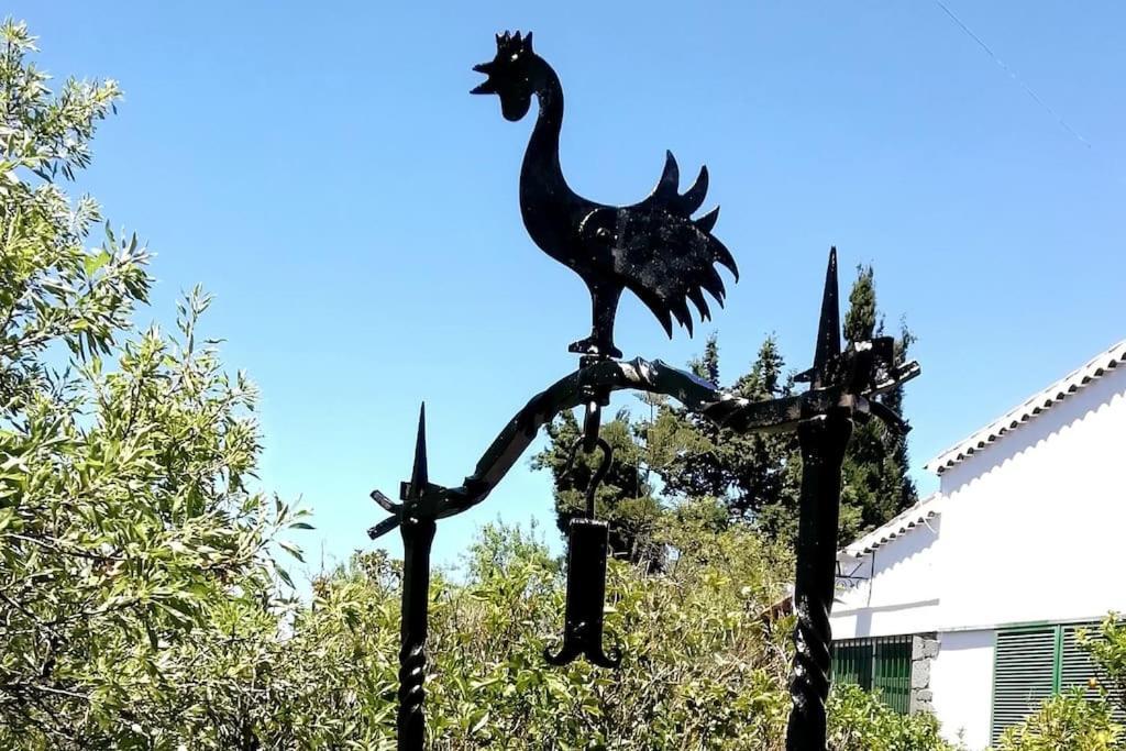 Casa La Veguetilla En San Mateo Vega de San Mateo Kültér fotó