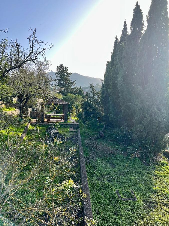 Casa La Veguetilla En San Mateo Vega de San Mateo Kültér fotó