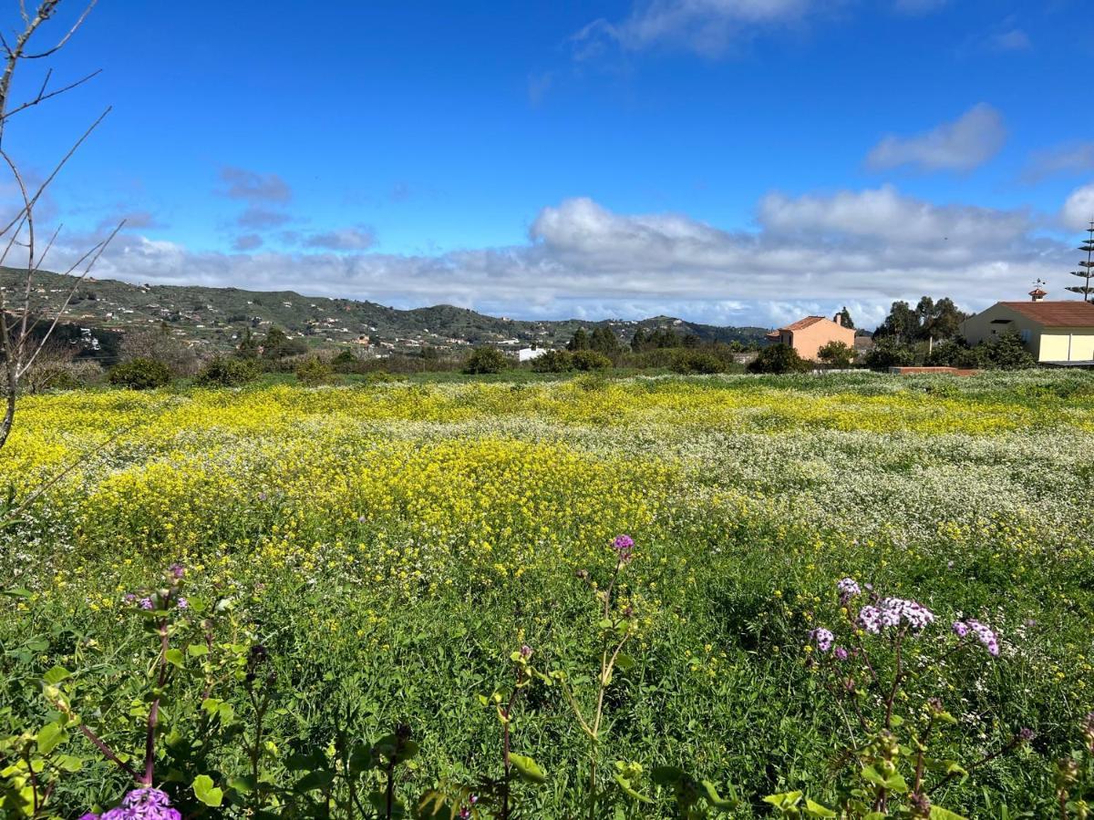 Casa La Veguetilla En San Mateo Vega de San Mateo Kültér fotó